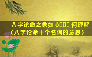 八字论命之象如 🐕 何理解（八字论命十个名词的意思）